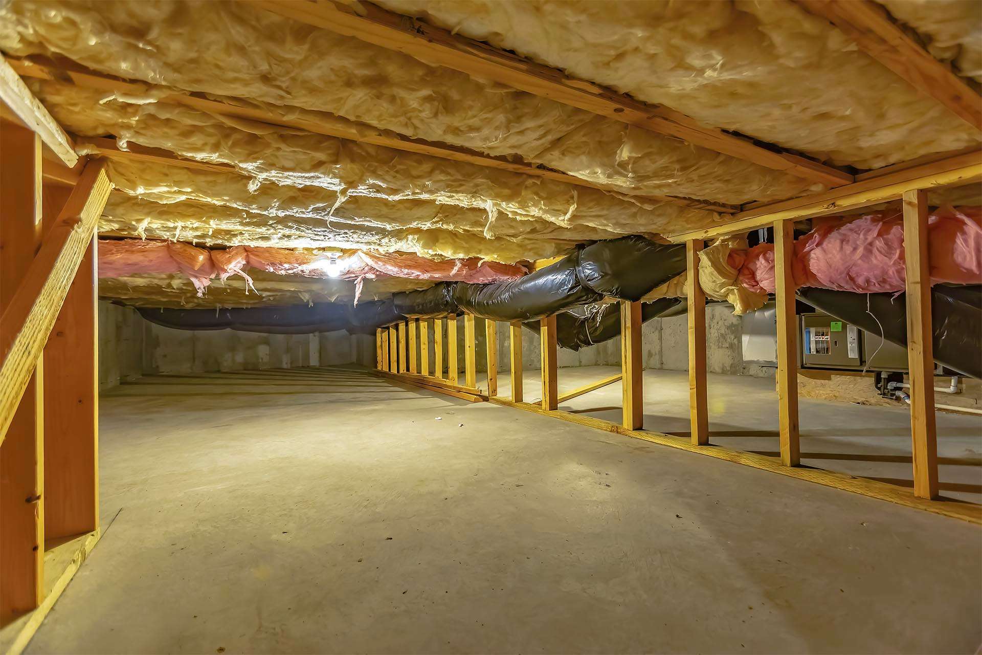 Basement or crawl space with upper floor insulation and wooden support beams